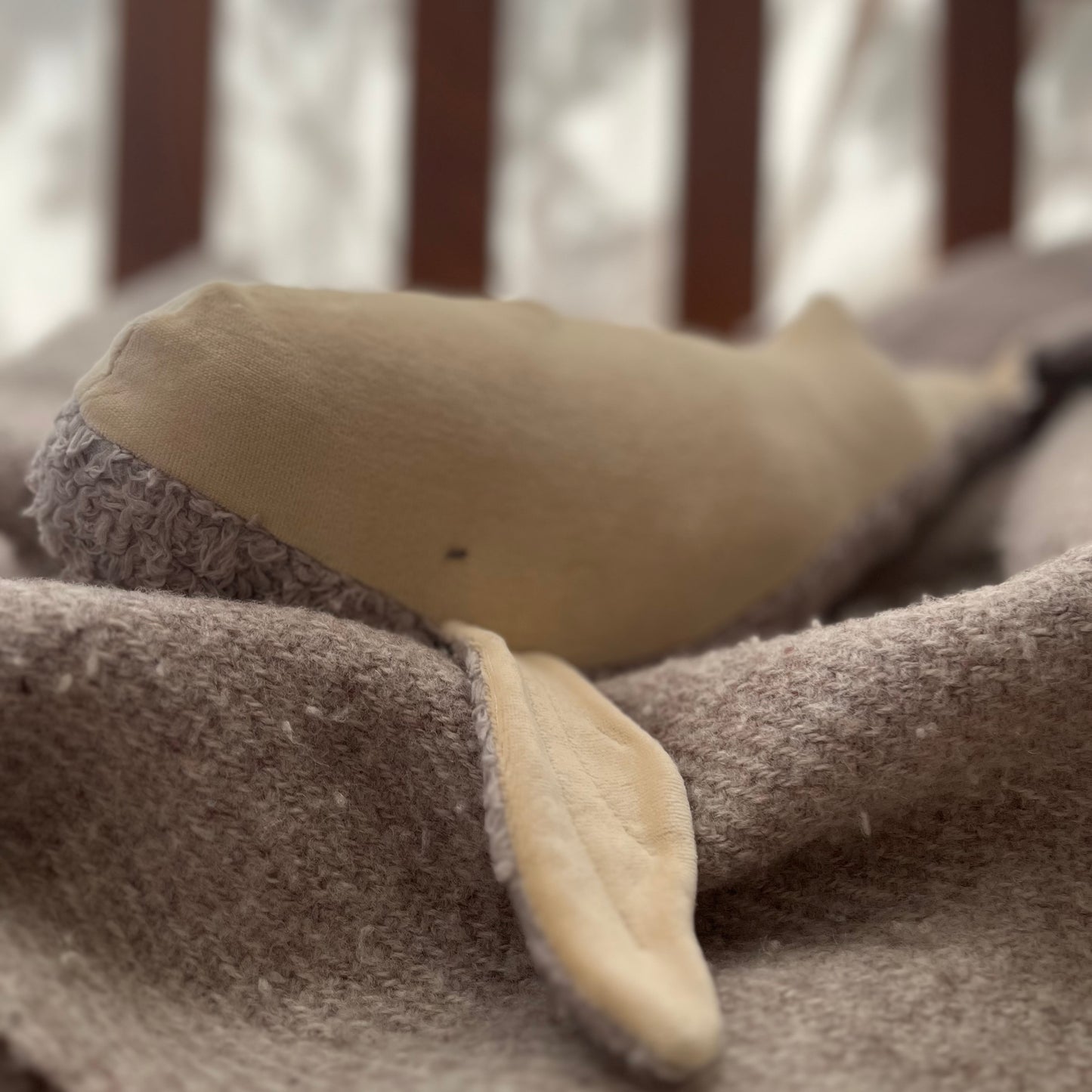 LITTLE THINGS OF NATURE - KUSCHELTIER, WAL